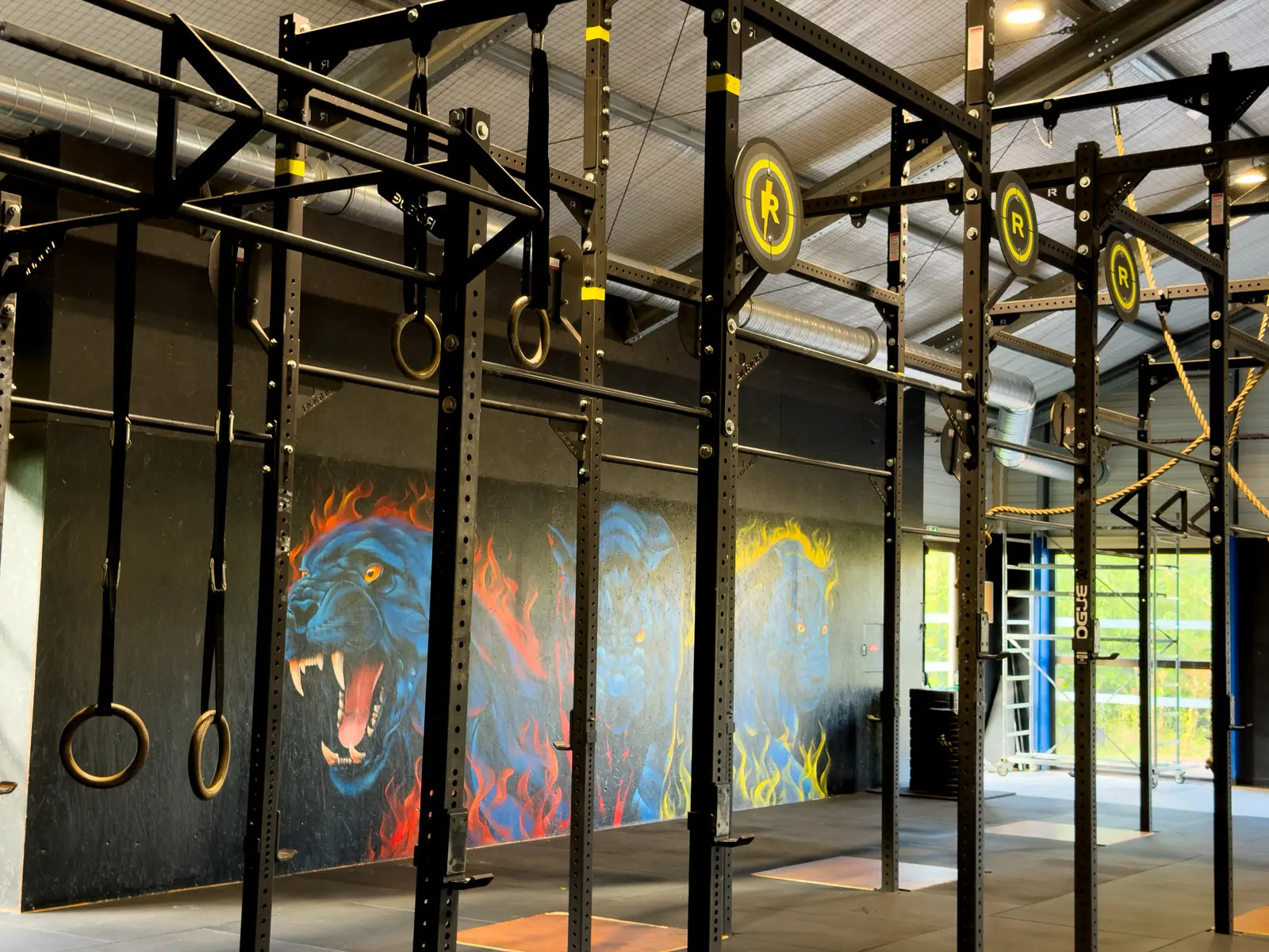 Anneaux et structures de l’espace functional training du Club House